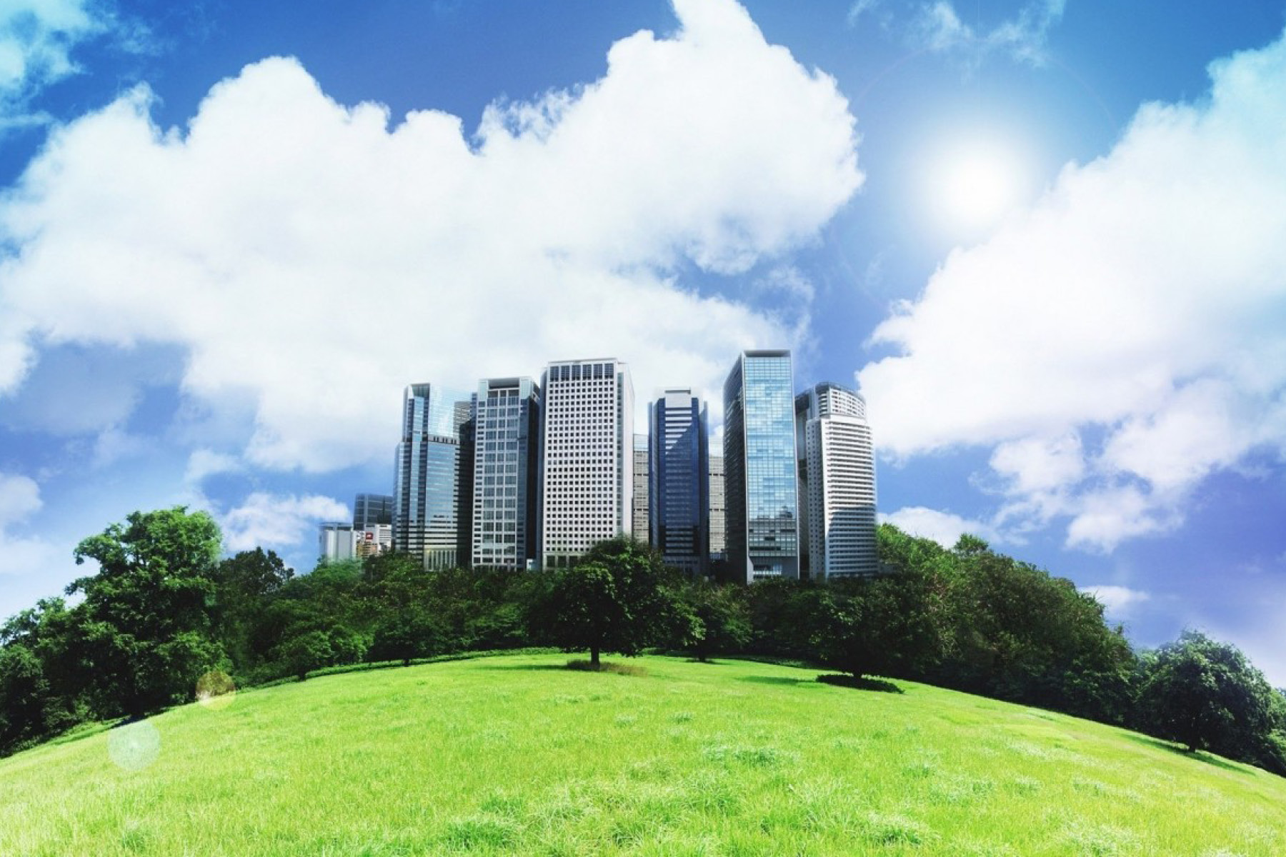 Top 5 Greenest Cities In The U S Back To The Roots Blog