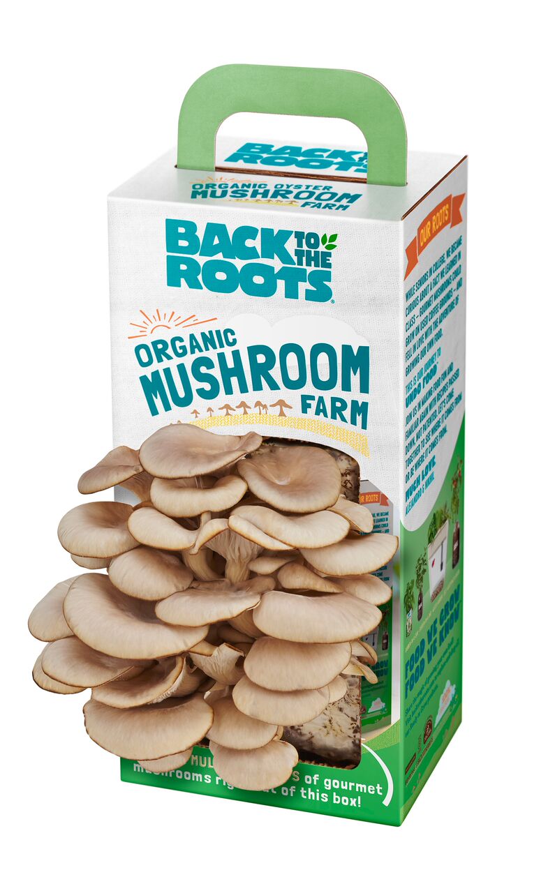 Organic Mushroom Farm Organic Mushroom Farm