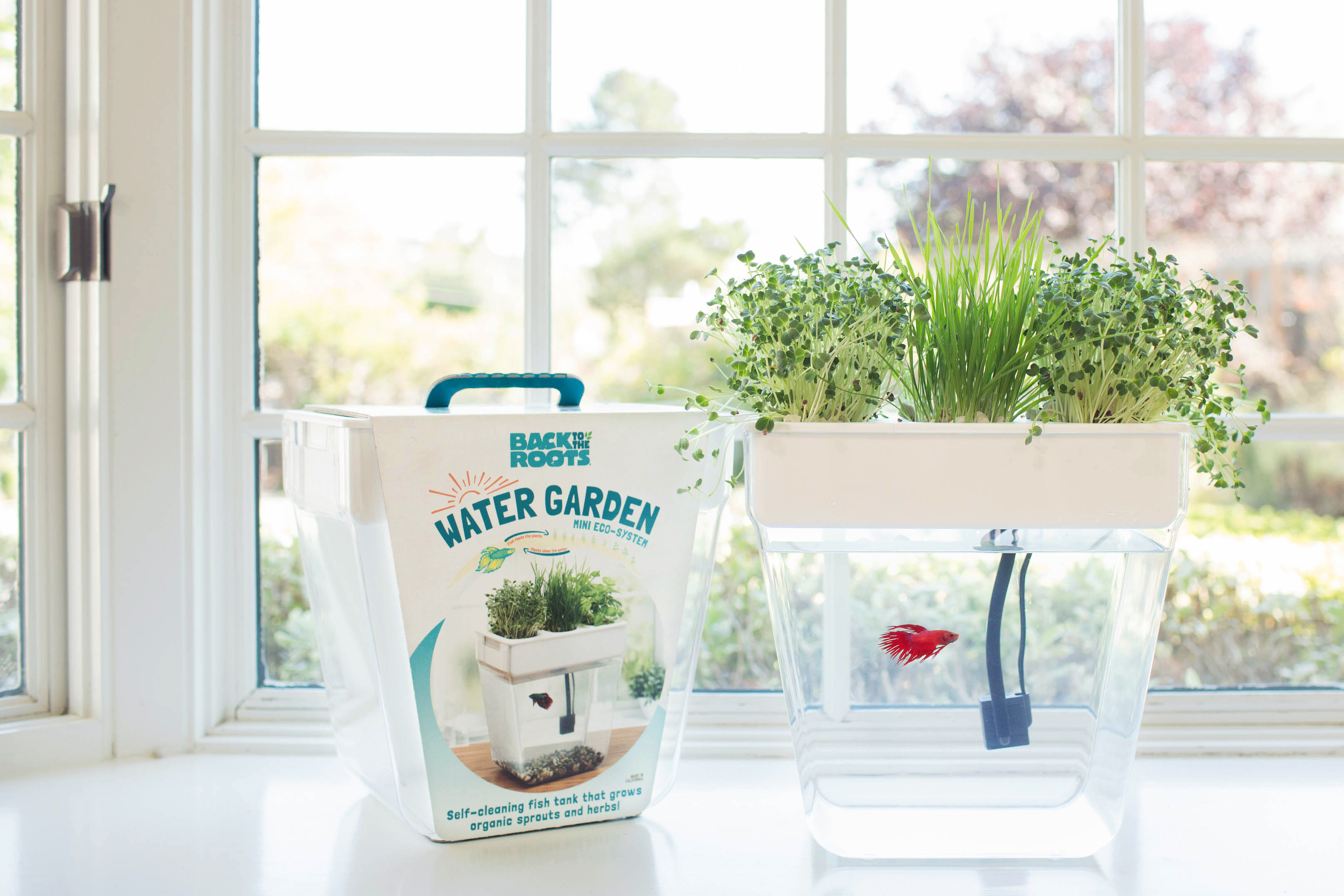 Water Garden 2.0
