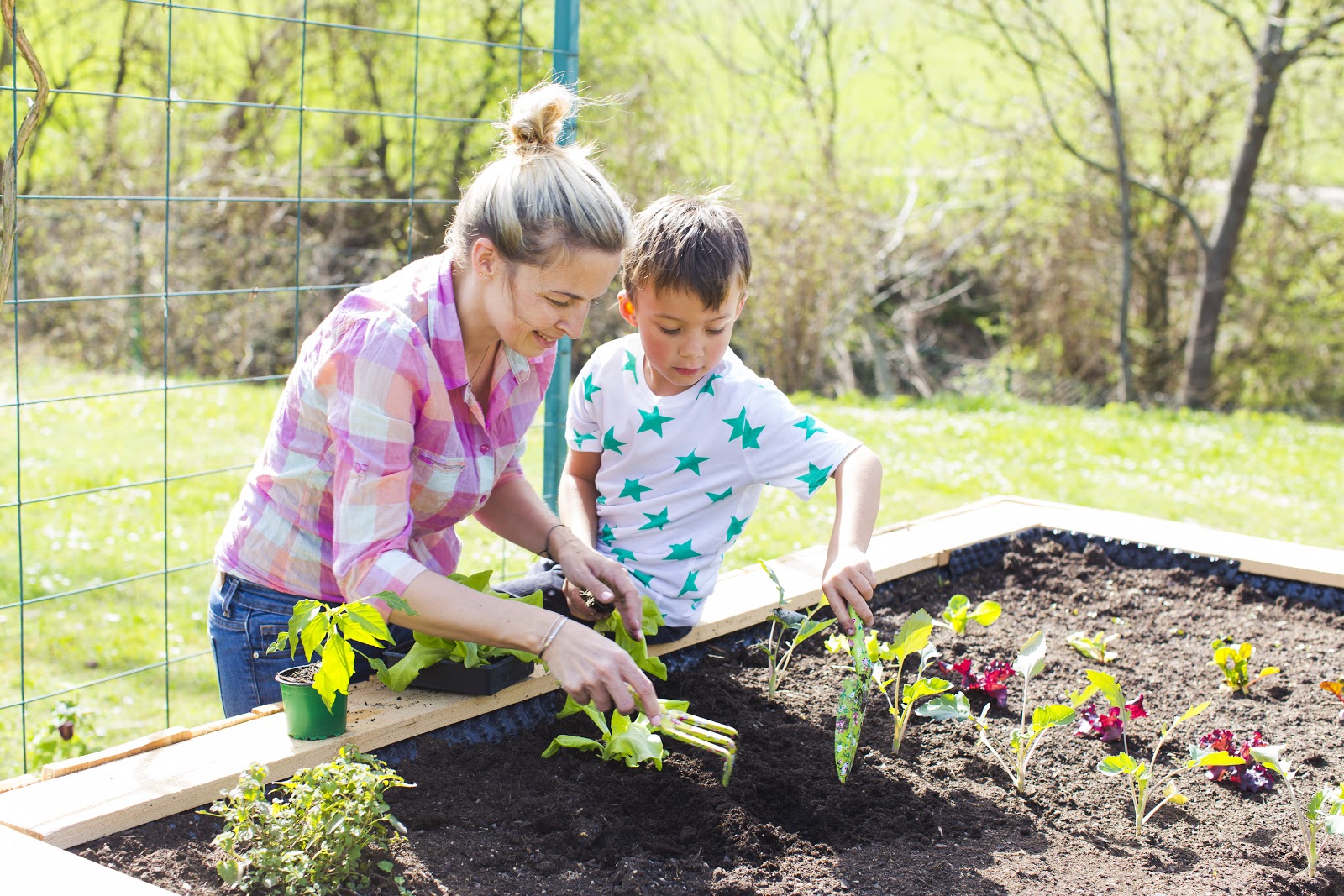 Raised Bed Gardening Benefits: What Do They Actually Do?