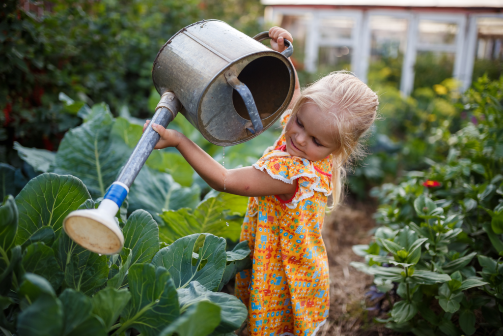 The dummy's guide to growing your own veggies at home