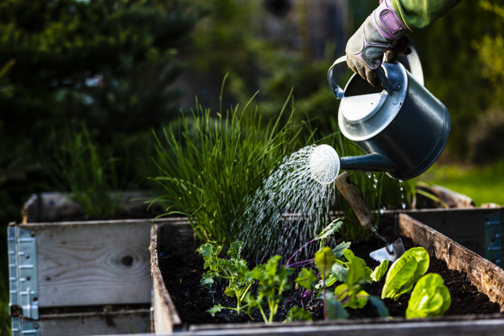 The Ultimate Vegetable Planting Guide: How To Create a Thriving Garden